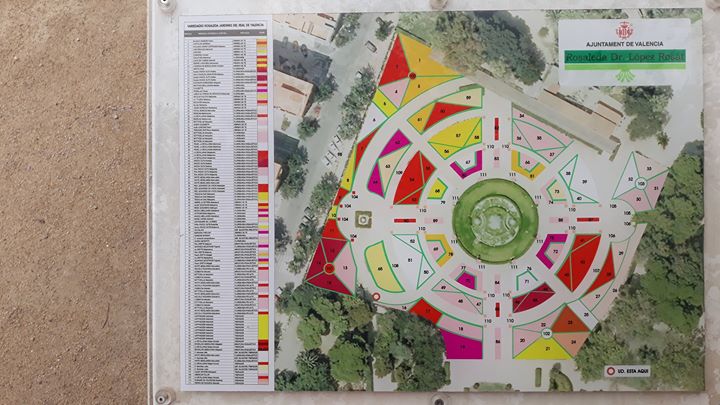 Flowers and gardens in Valencia. Classifications and mapping